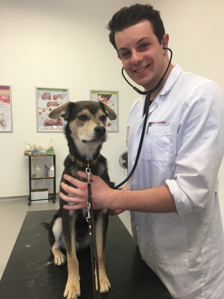 Dominik Wilke University of Veterinary Medicine Budapest