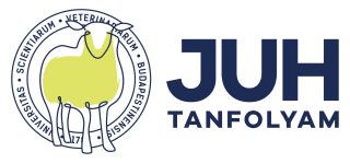 Új lendület a juhágazatban: Juh Tanfolyam az Állatorvostudományi Egyetemen