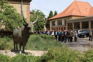 Hőseink emléke örök – Magyar Hősök Ünnepe 2025