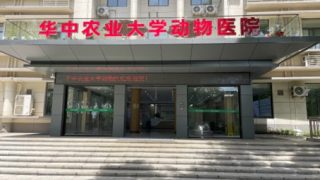 1. ábra: Huazhong Agricultural University, College of Veterinary Medicine oktató kórházának bejárata