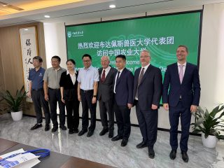 Nemzetközi partnerkapcsolatok Pekingben, Wuhanban és Sanghajban