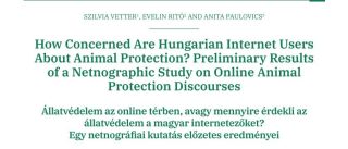 Új kutatás mutatja meg, mennyire fontos a magyaroknak az állatvédelem
