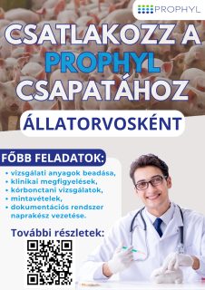 Állatorvos