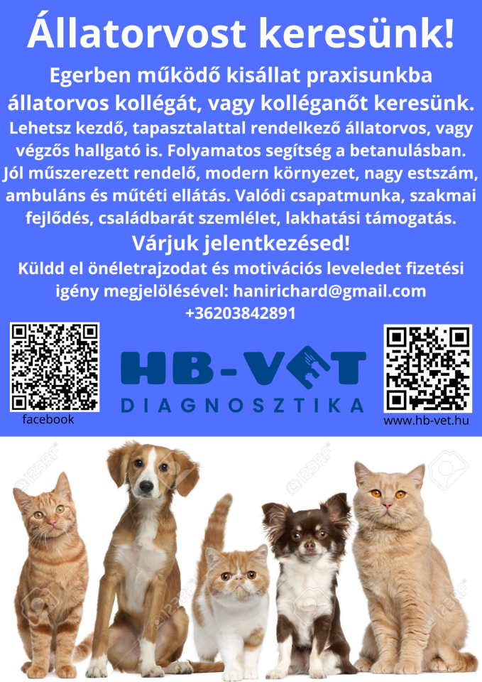 HB-VET Diagnosztika
