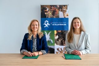 Új pályázati lehetőség állatvédő szervezeteknek! Féléves éjjel-nappal elérhető állatorvosi tanácsadást biztosít a Közös Ügyünk az Állatvédelem Alapítvány 20 állatvédő szervezetnek