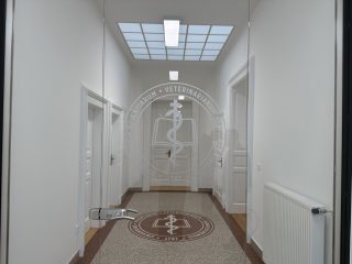 Renovated Department of Internal Medicine inaugurated at the University