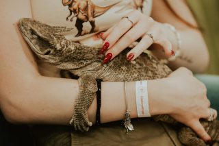 Kétezer látogató fedezte fel az Állatorvostudományi Egyetem sokszínű világát a Múzeumok Éjszakáján 