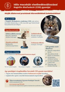 Kutatási felhívás állatorvosok számára